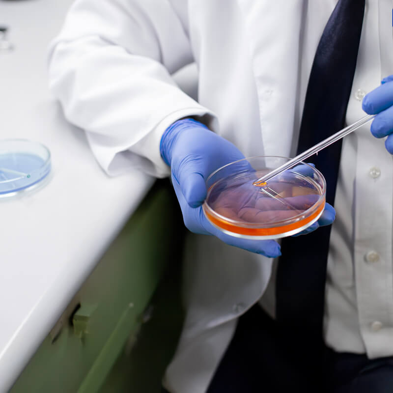 Laboratorio Poc
